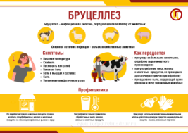 Бруцеллез.